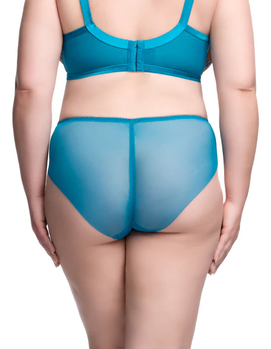 Fortunia Hi Cut Brief