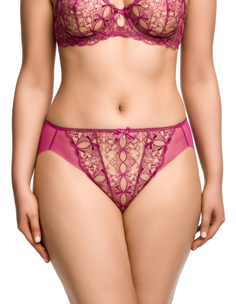 Harlow Hi Cut Brief
