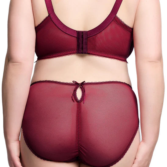 Zsa Zsa Hi Cut Brief