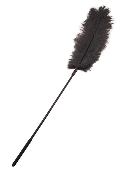 Black Feather Tickler