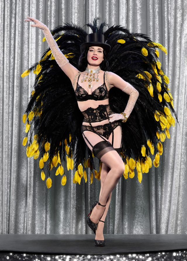 Velveteese Garter Belt