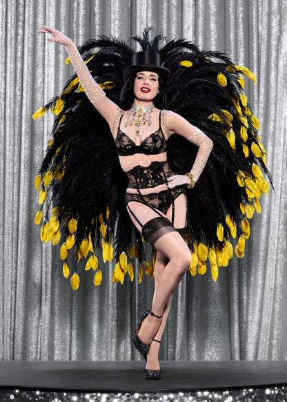 Velveteese Garter Belt